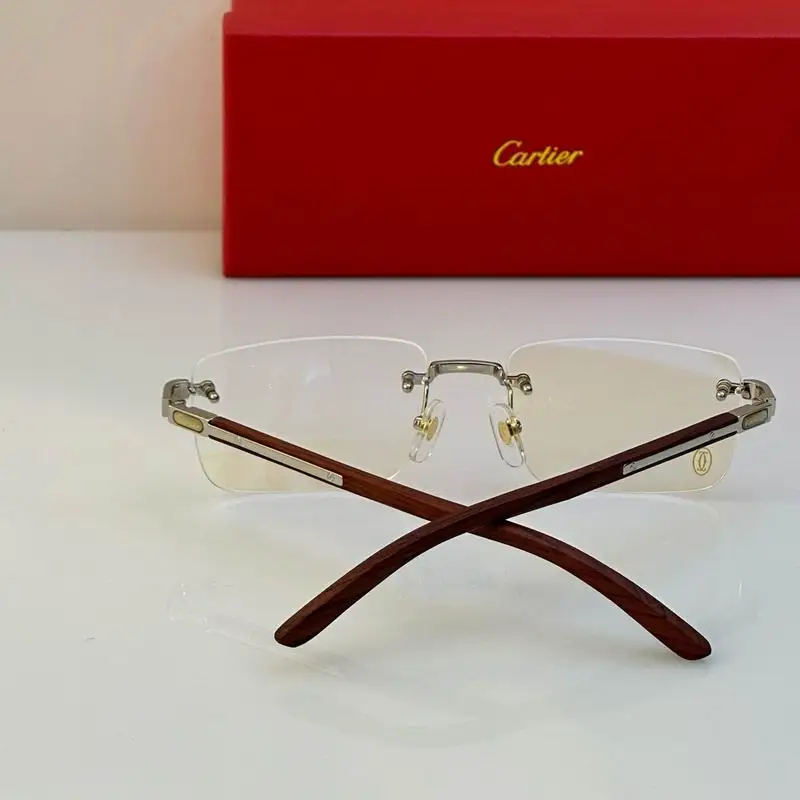 Cartier plain Glasses (146)